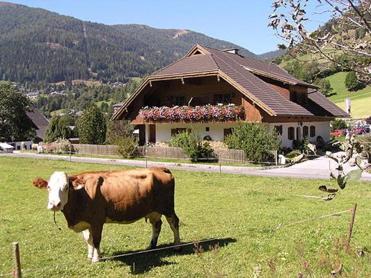 Unterwirt Lägenhet Bad Kleinkirchheim Exteriör bild