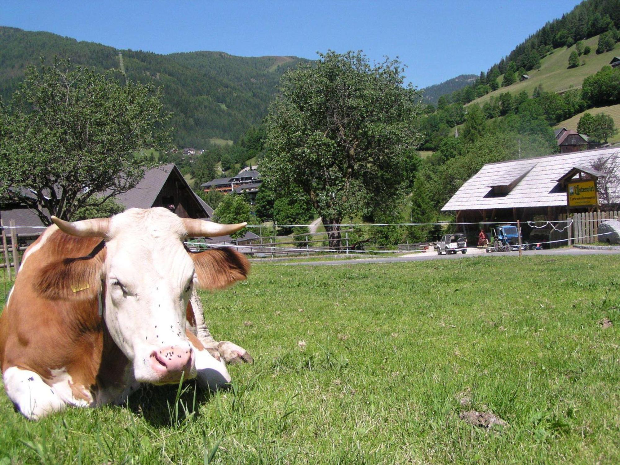 Unterwirt Lägenhet Bad Kleinkirchheim Exteriör bild